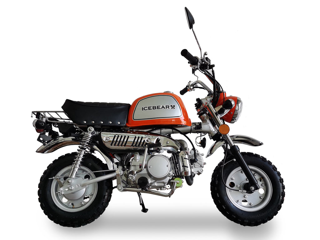 fahrradhelm leo Ice Bear LEO Monkey Bike 125cc