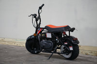 Trailmaster Storm 200 Mini Bike Blast From the Past, Quailty Engine, Welded Frame, Disk Brake- OFF ROAD ONLY, NOT STREET LEGAL