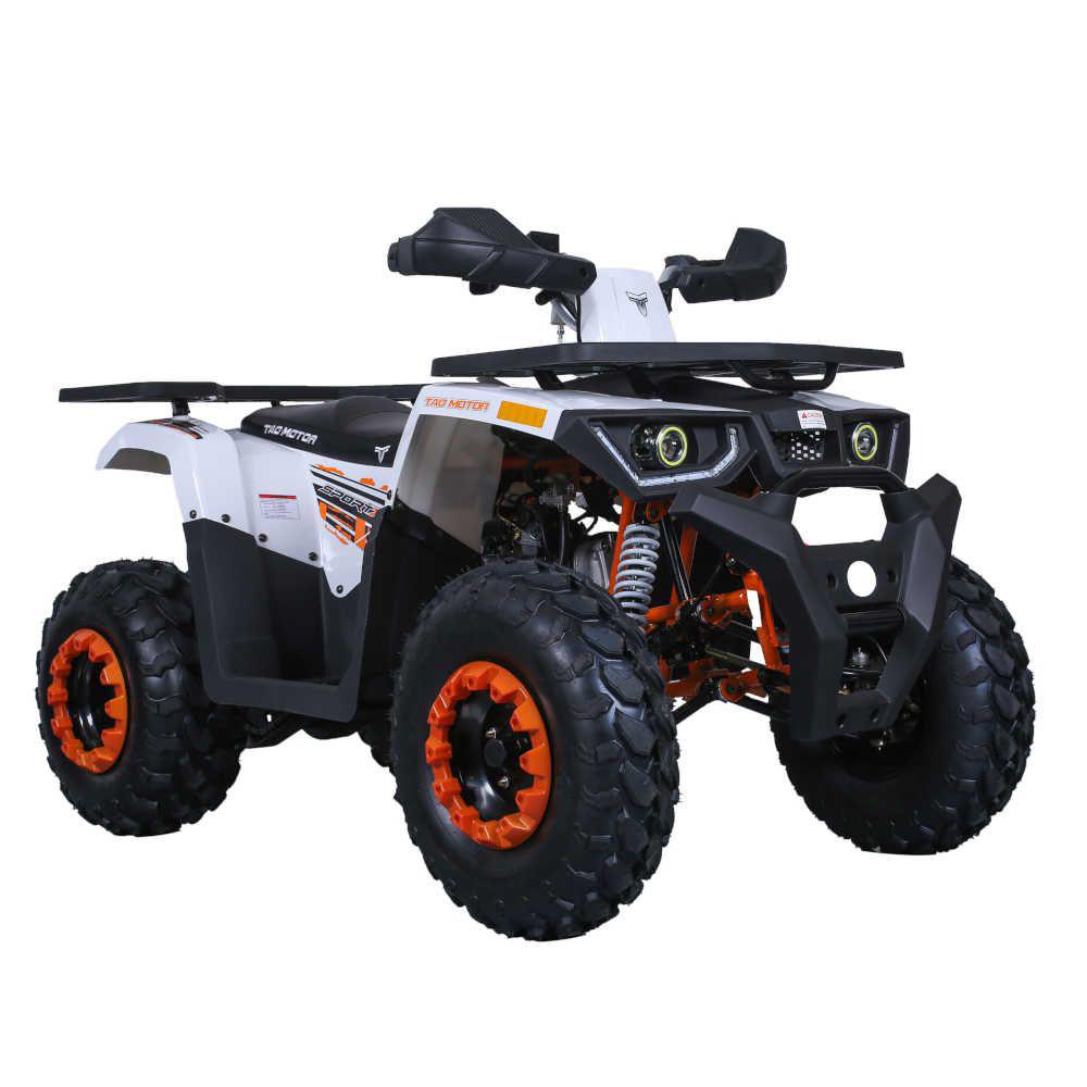 Tao G200, Full Size Adult, Bead Lock Style Rim, Automatic Trans with Reverse,  Electric start