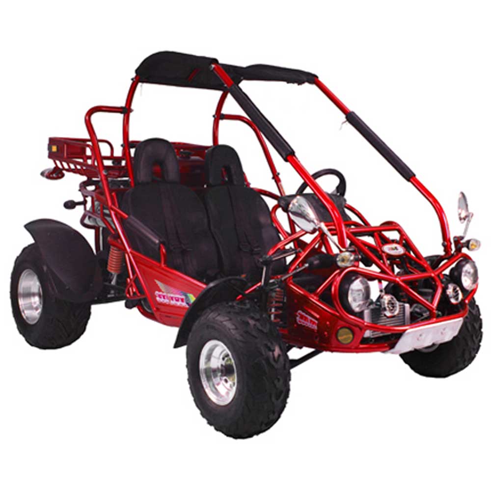 TrailMaster 300 XRXE Go Kart - Buggy for Sale | MotoBuys