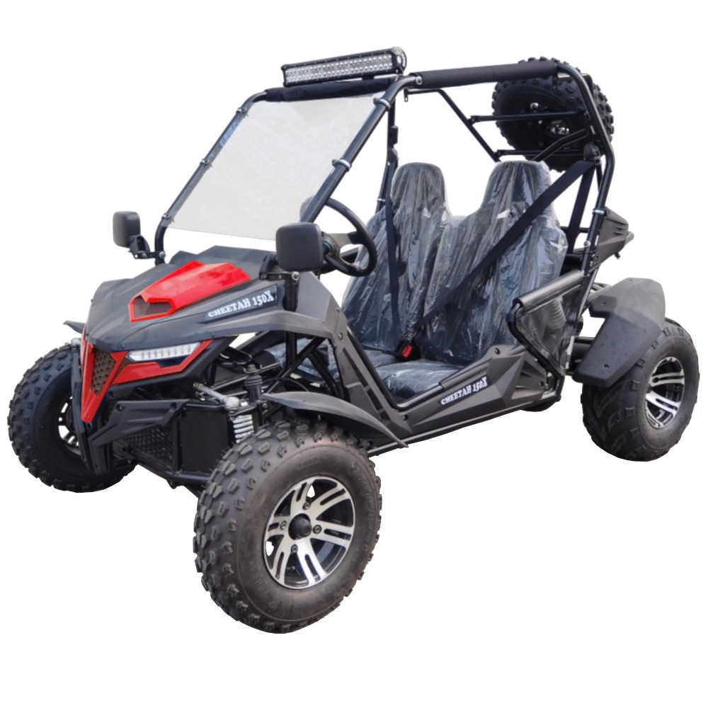 Trailmaster 200cc sales