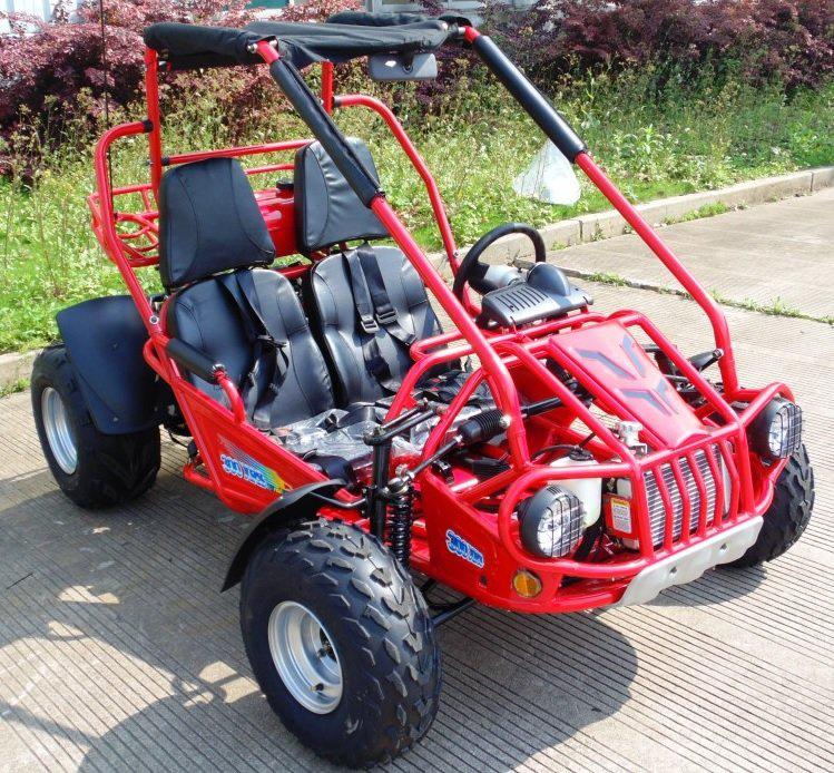 Trailmaster Eagle 300XRSE EFI Ultra Buggy Go Kart Largest Engine, Fuel Injected Motor, Over Sized disc brakes, Water Cooled