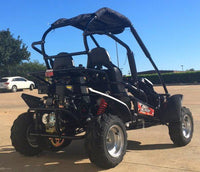 Trailmaster Blazer 200R Go Kart Youth Go Kart.  Ages 10 and up, Mid size Kids cart, Body Kit with reverse.