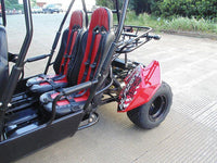 TrailMaster Blazer 4-200X Off Road Adult Buggy Go kart four seater. High Back Seats with race style harness