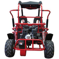 TRAILMASTER Mid XRX Youth Go Kart Buggy for ages 10 and up. Speed Control over the shoulder  seat belts