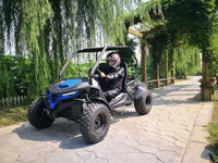 Trailmaster Cheetah 200 Go kart  ,Upgraded rear end, high back seats, Full Welded Roll Cage