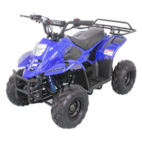 Vitacci REX 110cc ATV -  Automatic trans, Front and rear brakes, Electric start, For Kids up to  12-Year-old