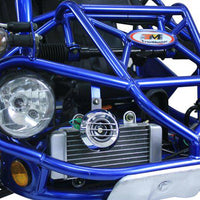 TRAILMASTER 300XRX-E (EFI) Buggy / Go Kart  Water Cooled, Fuel Injected, Independent rear axles, Double A Arm Coil