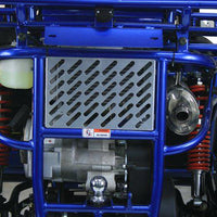 TRAILMASTER 300XRX-E (EFI) Buggy / Go Kart  Water Cooled, Fuel Injected, Independent rear axles, Double A Arm Coil